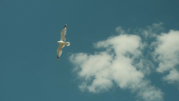Himmel
